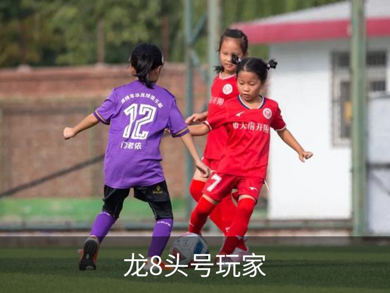 关于龙8头号玩家